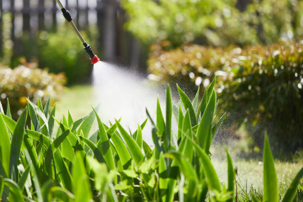 24/7 Emergency Termite Control experts in Carlin, NV